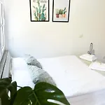 Anita's *